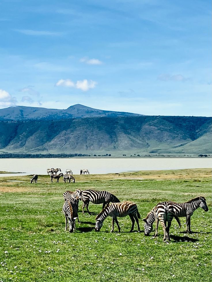 Ngorongoro